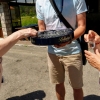 Zdjęcie z Czarnogóry - już od progu częstują nas rakiją