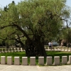 Zdjęcie z Czarnogóry - 