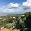 Zdjęcie z Włoch - Livorno