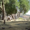 Zdjęcie z Etiopii - na cmentarzu