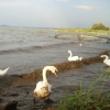 Zdjęcie z Węgier - Balatonmáriafürdő