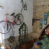 Zdjęcie z Grecji - grecka taverna