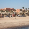 Zdjęcie z Egiptu - plaża