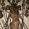 Zdjęcie z Czech - Kromeriz