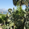 Zdjęcie z Turcji - Kemer