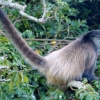 Zdjęcie z Meksyku - tą wysepkę zamieszkują czepiaki 🐒 - nie pająki 😊