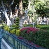 Zdjęcie z Meksyku - Plaza del Armas (Zocalo) o poranku...
