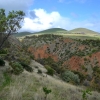 Zdjęcie z Australii - Cactus Canyon - Kaktusowy Kanion - widok z gory