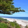 Zdjęcie z Australii - Plaza w Normanville