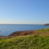 Zdjęcie z Australii - Pora wracac do Hallett Cove :)