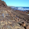 Zdjęcie z Australii - Niesamowite skaly Hallett Cove