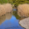 Zdjęcie z Australii - Rzeka Field River tuz przy ujsciu