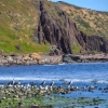 Zdjęcie z Australii - Ujscie rzeki Field River do zatoki Hallett Cove