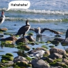 Zdjęcie z Australii - Hahahaha! :)))