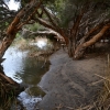 Zdjęcie z Australii - "Kacza plaza" nad rzeczka Field River