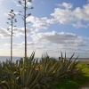 Zdjęcie z Australii - Widok na Port Willunga