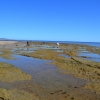 Zdjęcie z Australii - Skaliste dno wokól cypla Snapper Point