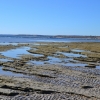 Zdjęcie z Australii - Skalne dno wokol cypla Snapper Point