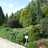 Zdjęcie z Polski - arboretum