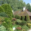 Zdjęcie z Polski - w arboretum