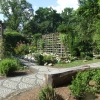 Zdjęcie z Polski - w arboretum