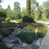 Zdjęcie z Polski - w arboretum