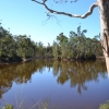 Zdjęcie z Australii - Jeziorko Playford Lake w Parku Narodowym Belair