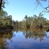 Zdjęcie z Australii - Idziemy dookola jeziorka Playford Lake