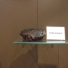 Zdjęcie z Polski - próbki minerałów