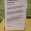 Zdjęcie z Polski - sposób działania