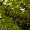 Zdjęcie z Polski - Czekajac na nasza kolej do zwiedzania Panoramy Raclawickiej