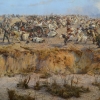 Zdjęcie z Polski - Wspaniala Panorama Raclawicka
