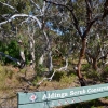 Zdjęcie z Australii - Rezerwat Aldinga Scrub - busz wydmowy