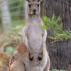 Zdjęcie z Australii - I nastepny