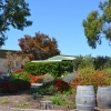 Zdjęcie z Australii - Aldinga Aerodrome
