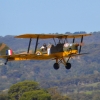Zdjęcie z Australii - Tiger Moth w locie