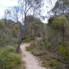 Zdjęcie z Australii - W rezerwacie Aldinga Scrub