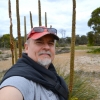 Zdjęcie z Australii - Pozdrowienia z rezerwatu Aldinga Scrub