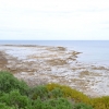 Zdjęcie z Australii - Plaza Aldinga Beach - odplyw odslonil podwodne skaly