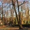 Zdjęcie z Polski - Cieszyn