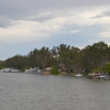 Zdjęcie z Australii - Przy brzegu zacumowane houseboaty