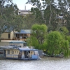 Zdjęcie z Australii - Rejs po Murray River