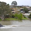 Zdjęcie z Australii - Doplywamy do Mannum
