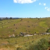 Zdjęcie z Australii - W drodze do wodospadu Mannum Waterfalls
