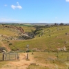 Zdjęcie z Australii - W drodze do wodospadu Mannum Waterfalls