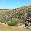 Zdjęcie z Australii - Wąwóz strumienia Reedy Creek