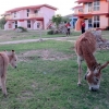 Zdjęcie z Kuby - Hotel Carisol los Corales, sekcja Carisol