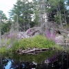 Zdjęcie z Kanady - Rzeka French River, Ontario