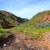 Zdjęcie z Australii - Cactus Canyon...tu dotarlem pare misiecy wczesniej...
