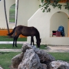 Zdjęcie z Kuby - Hotel Carisol los Corales, na wschód od Santiago de Cuba